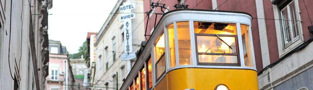 Kwiaty na każdą okazję